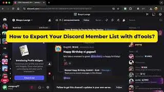 How to Export Your Discord Member List with Chrome extension 