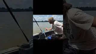 Ohio River Jug Fishing #shorts #fishing #shortvideo