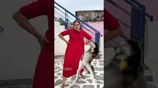 Competition 😁| who is better dancer.??😜#policouple #huskydance #trending #funnyshorts #comedy