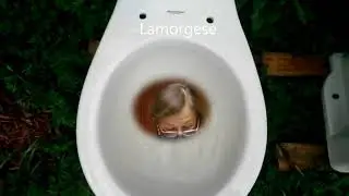 LAMORGESE Il Movimento Oscillatorio e gli...