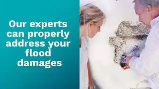 Why Call Experts for Flood Restoration Service in Pompano Beach | MVP Mold