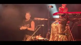 🦁y☀️ concierto4(5)