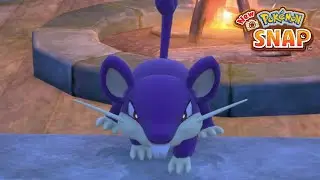 New Pokemon Snap - At Home in the Dark (Rattata) | LenTalk Request [Research Camp]
