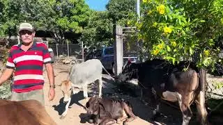 Donde estará el mago
