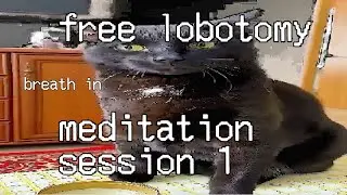 free lobotomy meditation session breathing guide