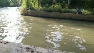 MANCING DI BENDUNGAN LS‼️GABUS BOSO NYA BABON