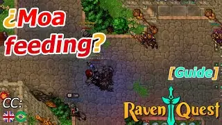 [RAVENQUEST GUIA] &iquest;Como 🥗Alimentar a una 🦃Moa?