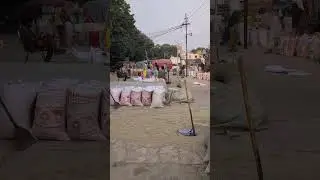 Grain market rates in Toba Tek Singh #