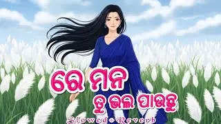Re Mana Tu Bhala Pauchu - (Slowed+Reverb) - Javed Ali | Lofi Song | Odia Lofi Song | Lofi Song Odia