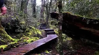 Cradle Mountain Walk. Knyvet Falls, Tasmania