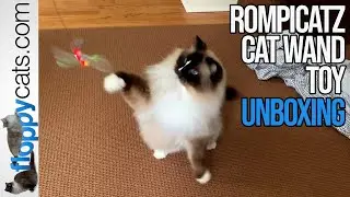 Playful Cats: RompiCatz Japanese Mylar Cat Wand Teaser Toys Unboxing