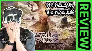 Best New Technical Death Metal: THE SCALAR PROCESS
