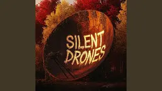Silent Drones