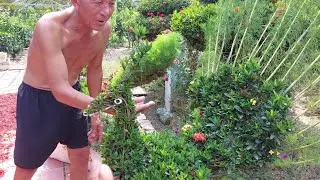Vườn bông trang-Với bàn tay nghệ nhân của chủ bảy