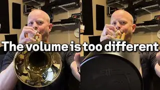 Revolutionary Practice Mute: 