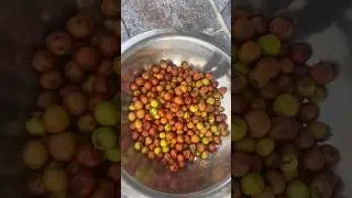 Regi Pallu 😋