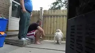 Military Brother Surprises Sister!!