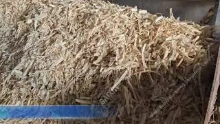 Horseradish drying production line / Spice processing / Mustard processing
