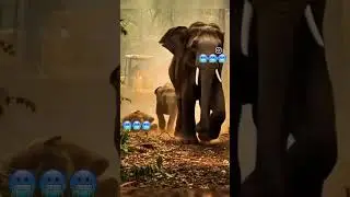 Karma#disaster