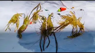 10 c&aacute;ch m&oacute;c mồi t&ocirc;m - Many ways to hook shrimp bait