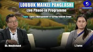 Loubuk Maikei Panglashi | Care & Management of Spring Season Crops