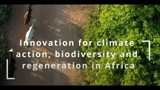Innovation for Climate Action, Biodiversity & Regeneration in Africa