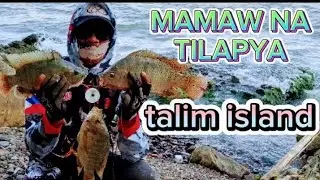 Dinayo natin C idol TALIM PH sa spot nya.. grabi puro mamaw..