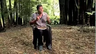 Caminhos da Reportagem | O Sonho do Pajé