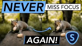 Обзор технологии ИИ Sharpen от Topaz Labs &mdash; действительно ли она работает?