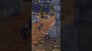 AFK Stormwind Gargoyles fail to stop fleeing Doakes after he murders the baker #turtlewow