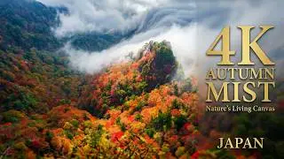 愛媛県 高知県の紅葉 雲海 滝雲を空から４K