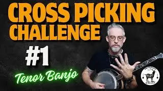 Cross Picking Challenge for #1 for Tenor Banjo