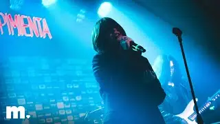 Meerkat - Timeless Tale (Live from Sargento Pimienta)