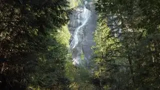 Whistler & Shannon Falls Tour