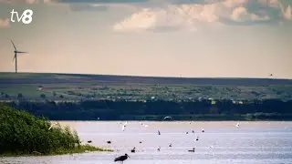 Lacul Beleu riscă să dispară