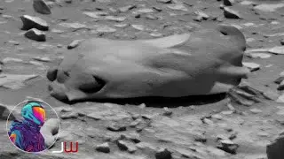 ROVER CURIOSITY | Weird Stuff Captured on Sol 4098