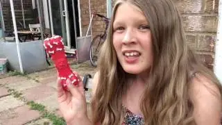 The magical Dog bone