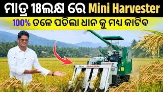 ମାତ୍ର 18 ଲକ୍ଷ ରେ Head feed Harvester / Best Paddy Harvester for Mushroom & Dairy Farmer