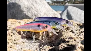 Новые цвета 3D Inshore Fingerling от Yo-Zuri для выпуска ICAST 2023