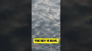 Why is the sky blue? #skycolor #atmosphere #factshorts #knowledgeforkids #learneveryday  #science