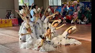 Peacock Dance 孔雀舞｜Classical Chinese Dance｜Traditional Folk Dance｜古典舞｜民簇舞 (Part 11) ｜LNY 2026
