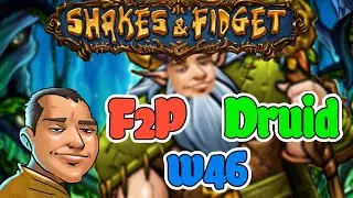 NAJSILNIEJSZY CHOMP JAKO PUPIL GILDII! - JAK DOBRZE GRAĆ W SHAKES & FIDGET - DRUID - w46.net #43