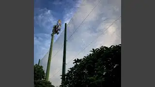 The Wiggle Stick
