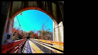 Gloria Coates (1933-2023+) - Solo Sonata 2000     Arose 16