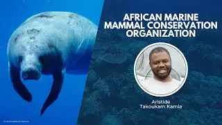 Saving Cameroon's Marine Mammals | Wildlife Conservation Network