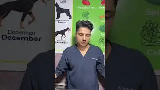 X ray of german Shepred at my clinic #dogs #cat #animals #trending #drahad #pets #abdulahad #viral
