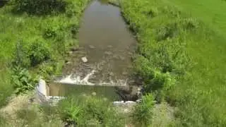 Restoring Fish Passage in the Red Run Headwaters