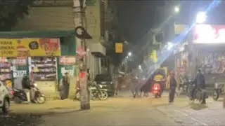 Live Maeket View