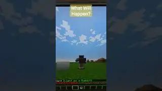 What Will Happen? #gameplay #minecrafter