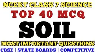 Best MCQ Class 7 Soil | Class 7 Science || Class 7 Geography Chapter Soil #mcqncert #class7science